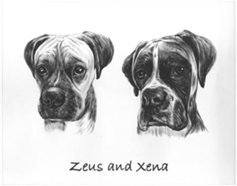 Hand Painted Ink Rendering Portraits from Photos