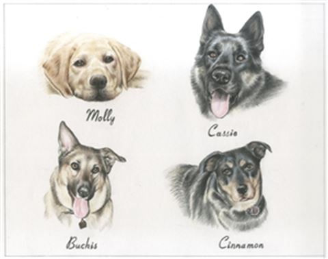 Hand Drawn Colored Pencil Portraits from Photos | Colored Pencil Drawings from Photos