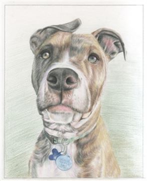 Hand Drawn Colored Pencil Portraits from Photos | Colored Pencil Drawings from Photos