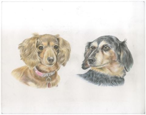 Hand Drawn Colored Pencil Portraits from Photos | Colored Pencil Drawings from Photos