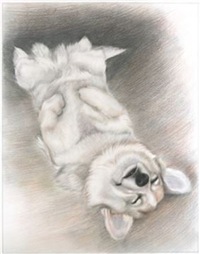 Hand Drawn Colored Pencil Portraits from Photos | Colored Pencil Drawings from Photos