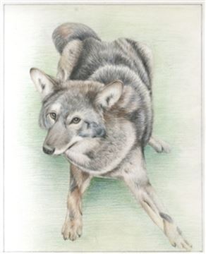 Hand Drawn Colored Pencil Portraits from Photos | Colored Pencil Drawings from Photos