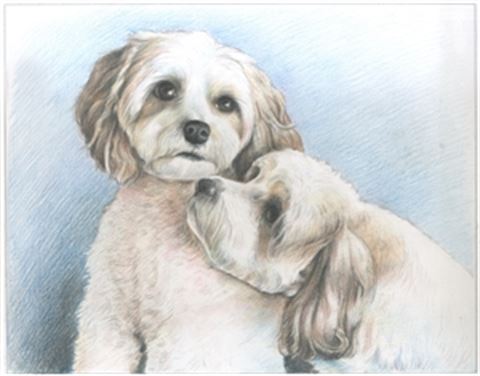 Hand Drawn Colored Pencil Portraits from Photos | Colored Pencil Drawings from Photos
