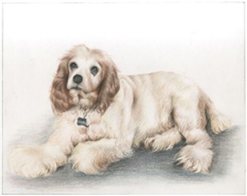 Hand Drawn Colored Pencil Portraits from Photos | Colored Pencil Drawings from Photos