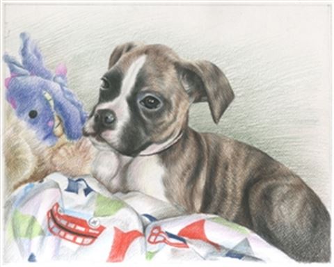 Hand Drawn Colored Pencil Portraits from Photos | Colored Pencil Drawings from Photos