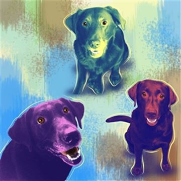 1 Panel Pop Art Portraits from Photos