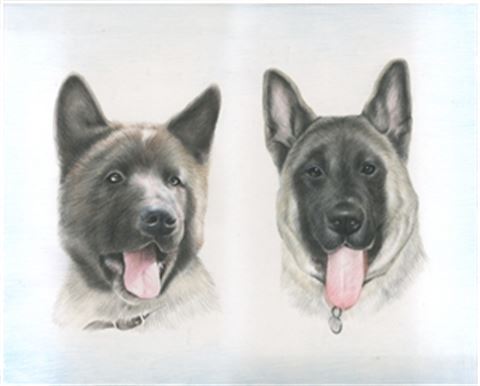 Hand Drawn Colored Pencil Portraits from Photos | Colored Pencil Drawings from Photos