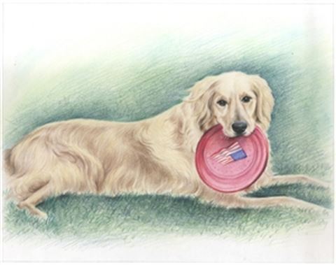 Hand Drawn Colored Pencil Portraits from Photos | Colored Pencil Drawings from Photos