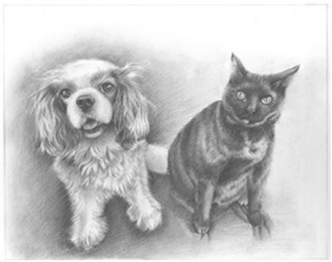Hand Drawn Pencil Portraits from Photos | Pencil Portrait Drawing | Pencil Sketch Artists