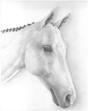 Hand Drawn Pencil Portraits from Photos | Pencil Portrait Drawing | Pencil Sketch Artists