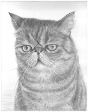 Hand Drawn Pencil Portraits from Photos | Pencil Portrait Drawing | Pencil Sketch Artists