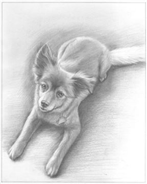 Hand Drawn Pencil Portraits from Photos | Pencil Portrait Drawing | Pencil Sketch Artists
