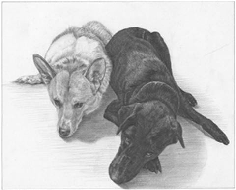Hand Drawn Pencil Portraits from Photos | Pencil Portrait Drawing | Pencil Sketch Artists