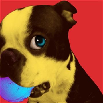 1 Panel Pop Art Portraits from Photos