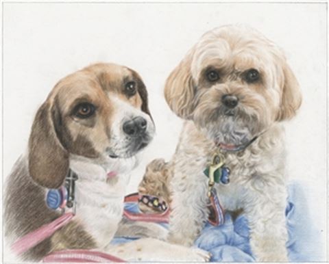 Hand Drawn Colored Pencil Portraits from Photos | Colored Pencil Drawings from Photos