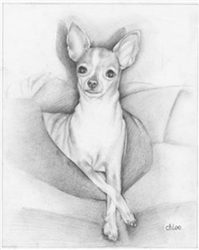 Hand Drawn Pencil Portraits from Photos | Pencil Portrait Drawing | Pencil Sketch Artists
