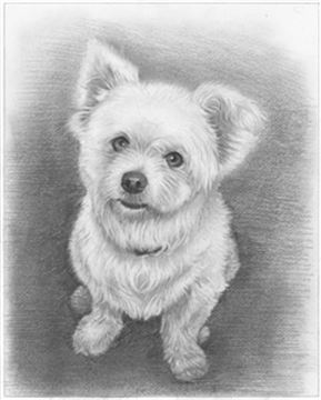 Hand Drawn Pencil Portraits from Photos | Pencil Portrait Drawing | Pencil Sketch Artists