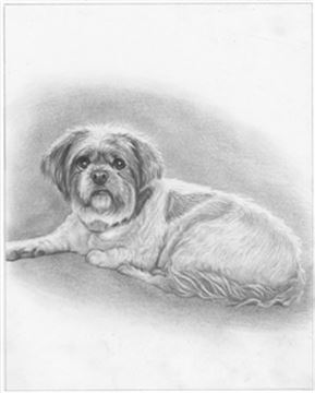 Hand Drawn Pencil Portraits from Photos | Pencil Portrait Drawing | Pencil Sketch Artists