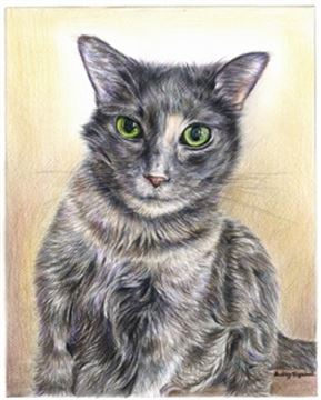 Hand Drawn Colored Pencil Portraits from Photos | Colored Pencil Drawings from Photos