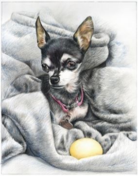 Hand Drawn Colored Pencil Portraits from Photos | Colored Pencil Drawings from Photos