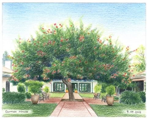 Hand Drawn Colored Pencil Portraits from Photos | Colored Pencil Drawings from Photos