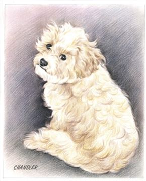 Hand Drawn Colored Pencil Portraits from Photos | Colored Pencil Drawings from Photos