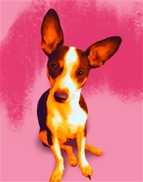 1 Panel Pop Art Portraits from Photos