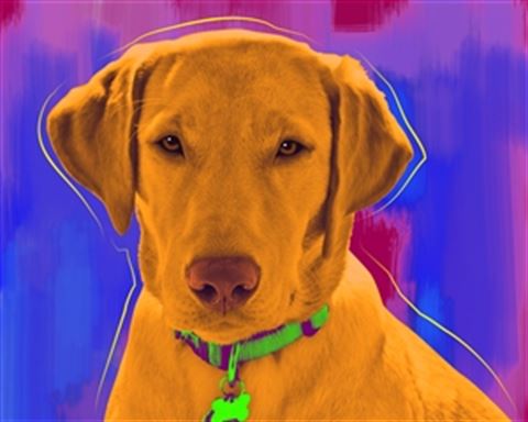 1 Panel Pop Art Portraits from Photos