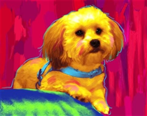 1 Panel Pop Art Portraits from Photos