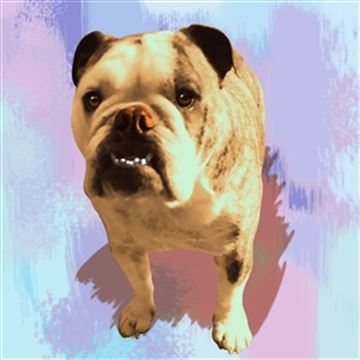 1 Panel Pop Art Portraits from Photos
