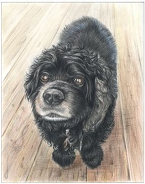 Hand Drawn Colored Pencil Portraits from Photos | Colored Pencil Drawings from Photos