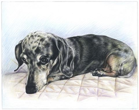 Hand Drawn Colored Pencil Portraits from Photos | Colored Pencil Drawings from Photos