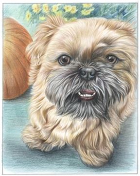 Hand Drawn Colored Pencil Portraits from Photos | Colored Pencil Drawings from Photos