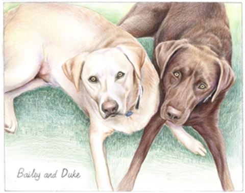 Hand Drawn Colored Pencil Portraits from Photos | Colored Pencil Drawings from Photos