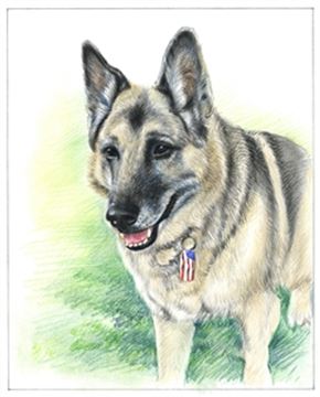 Hand Drawn Colored Pencil Portraits from Photos | Colored Pencil Drawings from Photos