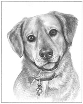 Hand Drawn Pencil Portraits from Photos | Pencil Portrait Drawing | Pencil Sketch Artists