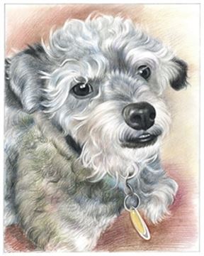 Hand Drawn Colored Pencil Portraits from Photos | Colored Pencil Drawings from Photos