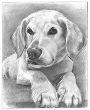 Hand Drawn Pencil Portraits from Photos | Pencil Portrait Drawing | Pencil Sketch Artists