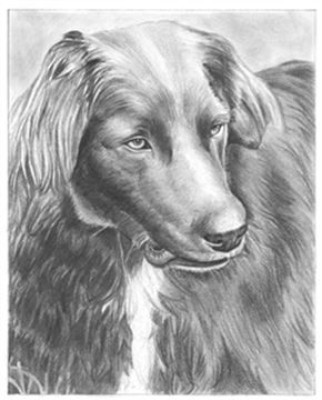 Hand Drawn Pencil Portraits from Photos | Pencil Portrait Drawing | Pencil Sketch Artists