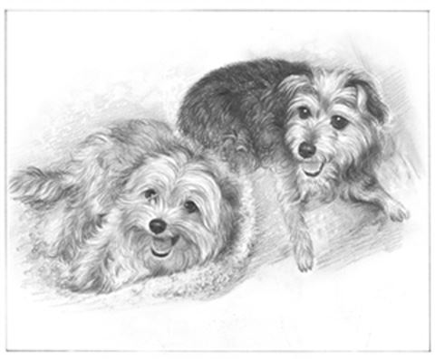 Hand Drawn Pencil Portraits from Photos | Pencil Portrait Drawing | Pencil Sketch Artists