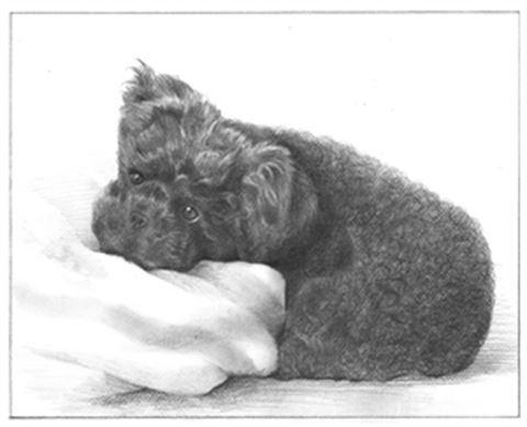 Hand Drawn Pencil Portraits from Photos | Pencil Portrait Drawing | Pencil Sketch Artists