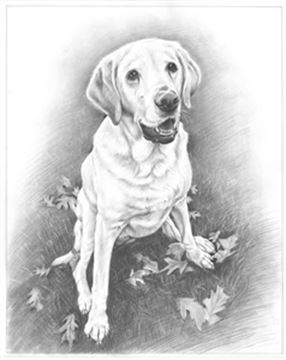 Hand Drawn Pencil Portraits from Photos | Pencil Portrait Drawing | Pencil Sketch Artists