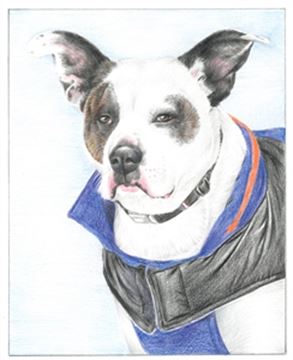 Hand Drawn Colored Pencil Portraits from Photos | Colored Pencil Drawings from Photos