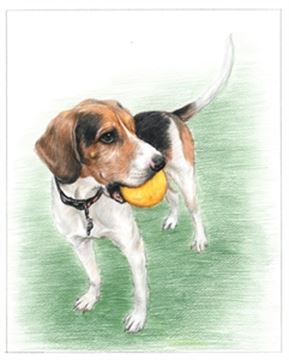 Hand Drawn Colored Pencil Portraits from Photos | Colored Pencil Drawings from Photos
