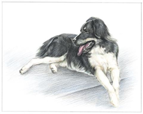 Hand Drawn Colored Pencil Portraits from Photos | Colored Pencil Drawings from Photos