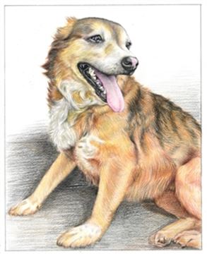 Hand Drawn Colored Pencil Portraits from Photos | Colored Pencil Drawings from Photos