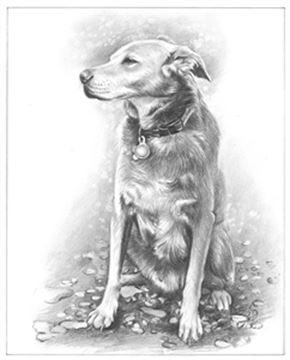 Hand Drawn Pencil Portraits from Photos | Pencil Portrait Drawing | Pencil Sketch Artists