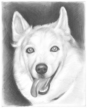 Hand Drawn Pencil Portraits from Photos | Pencil Portrait Drawing | Pencil Sketch Artists