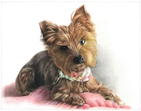 Hand Drawn Colored Pencil Portraits from Photos | Colored Pencil Drawings from Photos