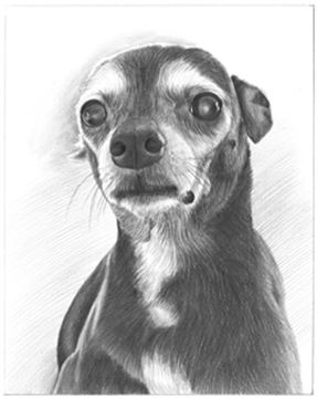 Hand Drawn Pencil Portraits from Photos | Pencil Portrait Drawing | Pencil Sketch Artists